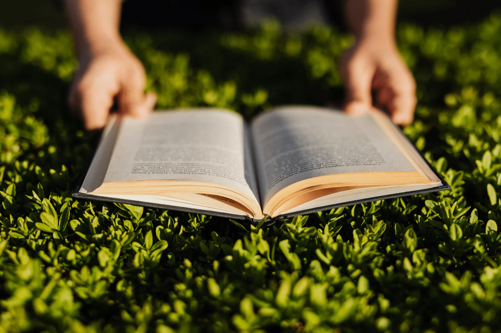 Ein Buch liegt auf Gras und wird von zwei Händen gehalten.